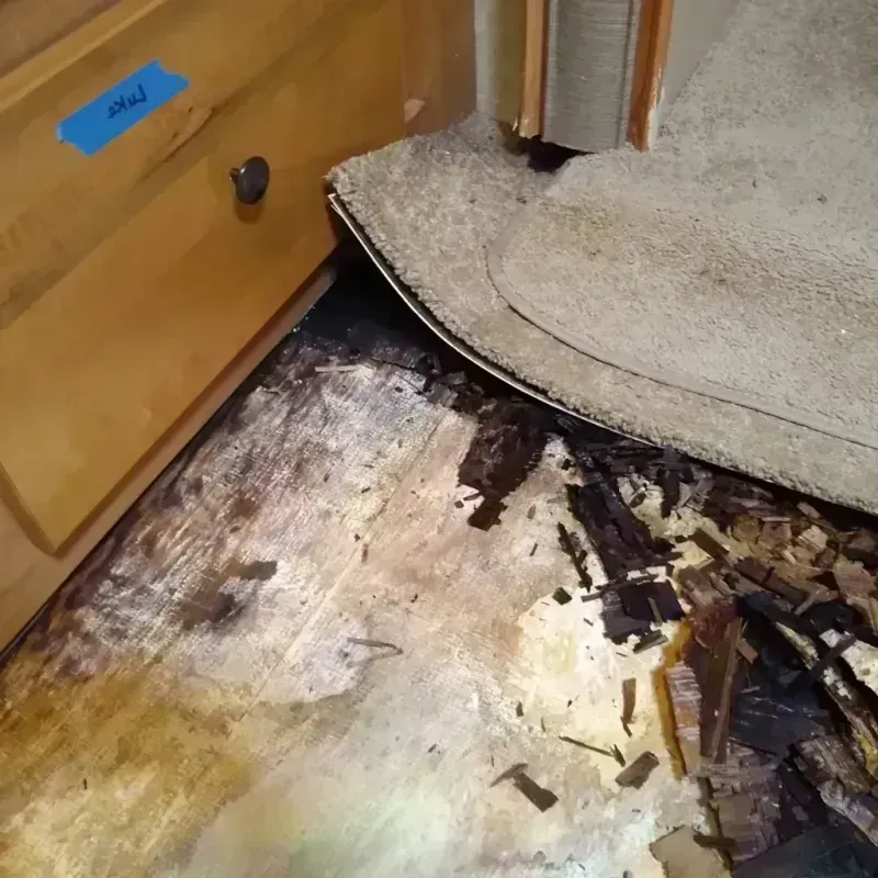 Best Wood Floor Water Damage Service in Sturgis, SD